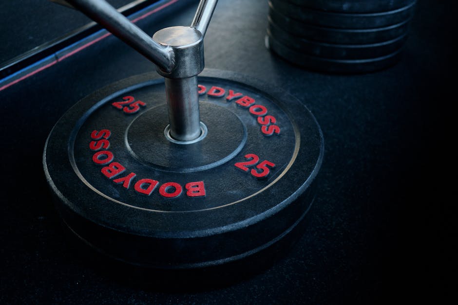 Bumper Plate Storage Solutions: Reviewed and Compared