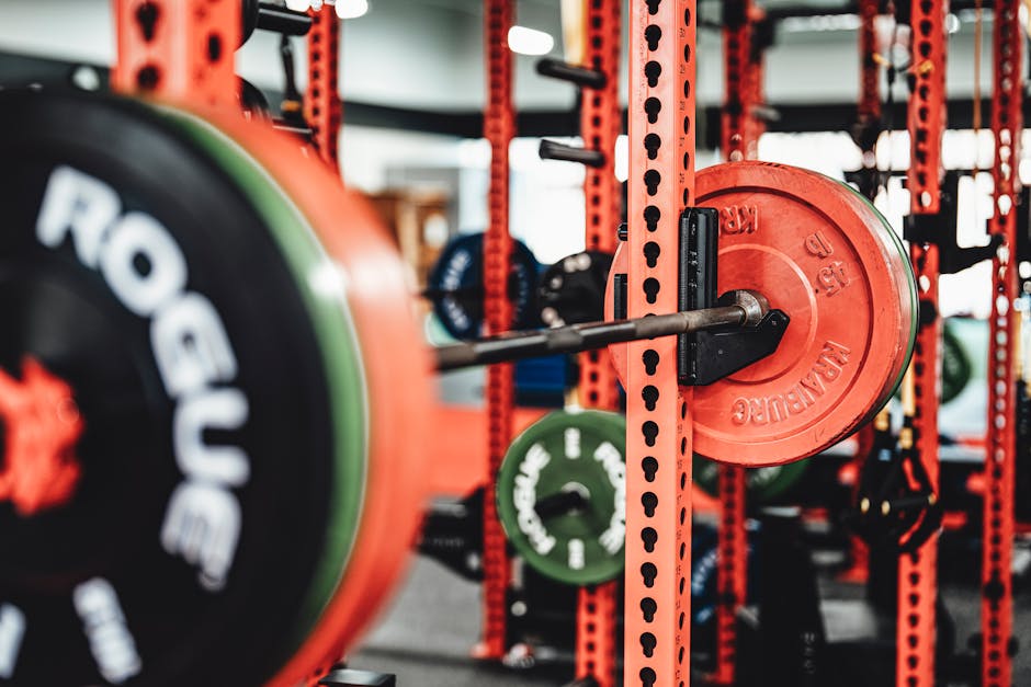 Bumper Plate Set Buyer's Guide: What Actually Matters