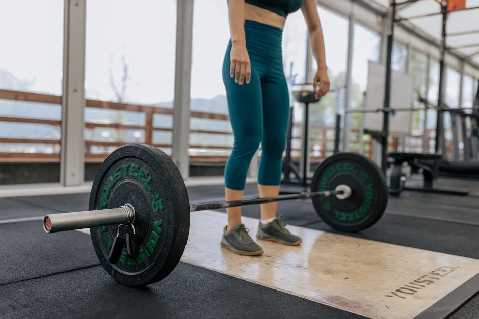 Rogue Fitness Bumper Plates Buyer's Guide: Top Picks