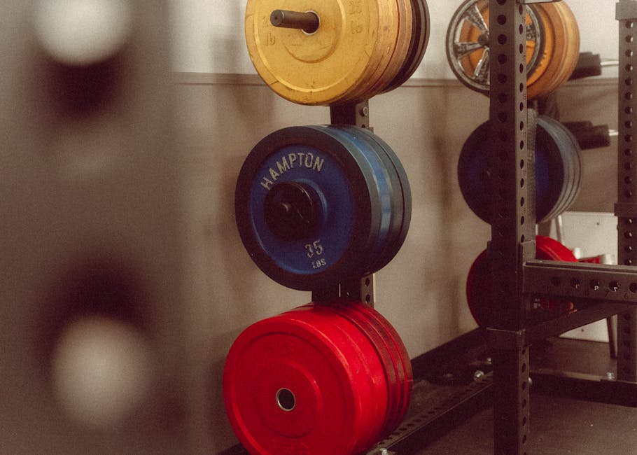 Barbell Holder Buyer's Guide: Wall Mounts and Floor Racks