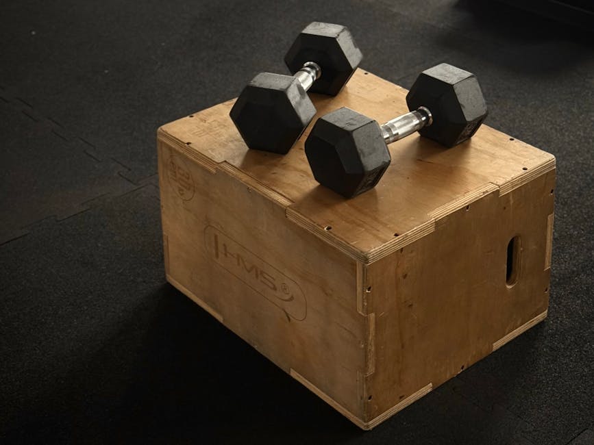 Wall Ball Buyer's Guide: How to Choose the Right One