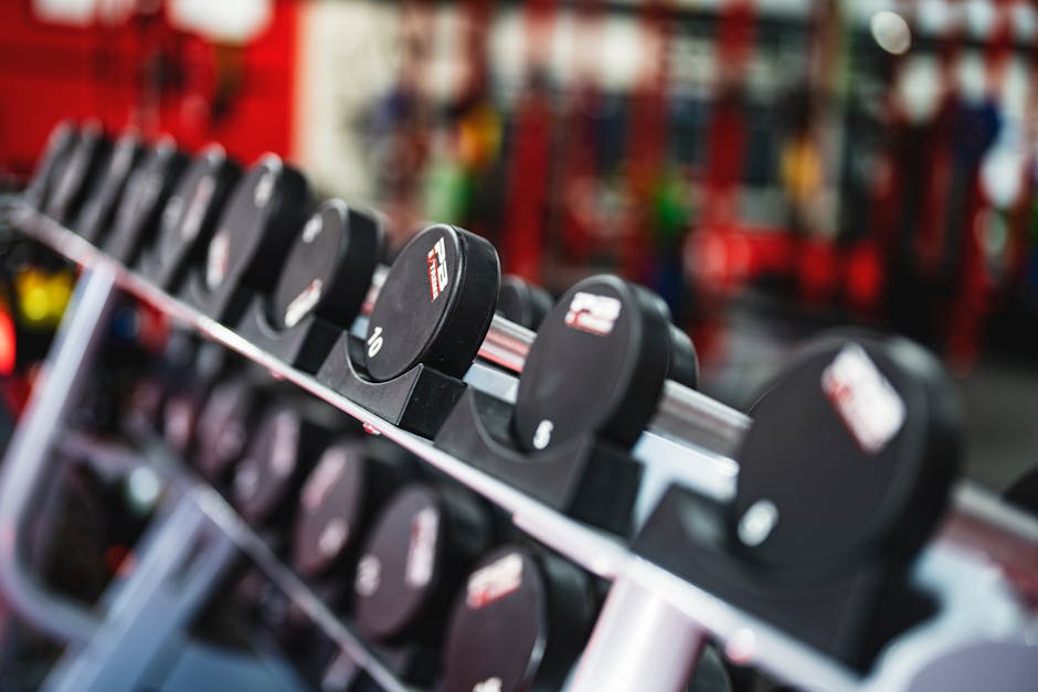 Foldable Squat Rack Buyer's Guide: Space-Saving Home Gym Setup