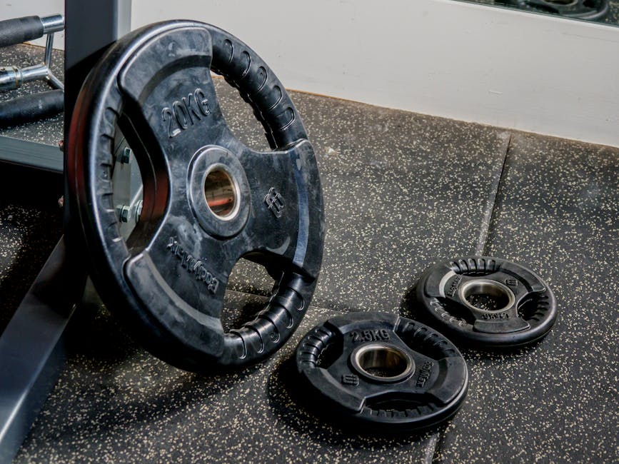 25lb Weight Plate Buyer's Guide: Cast Iron, Rubber & Bumper