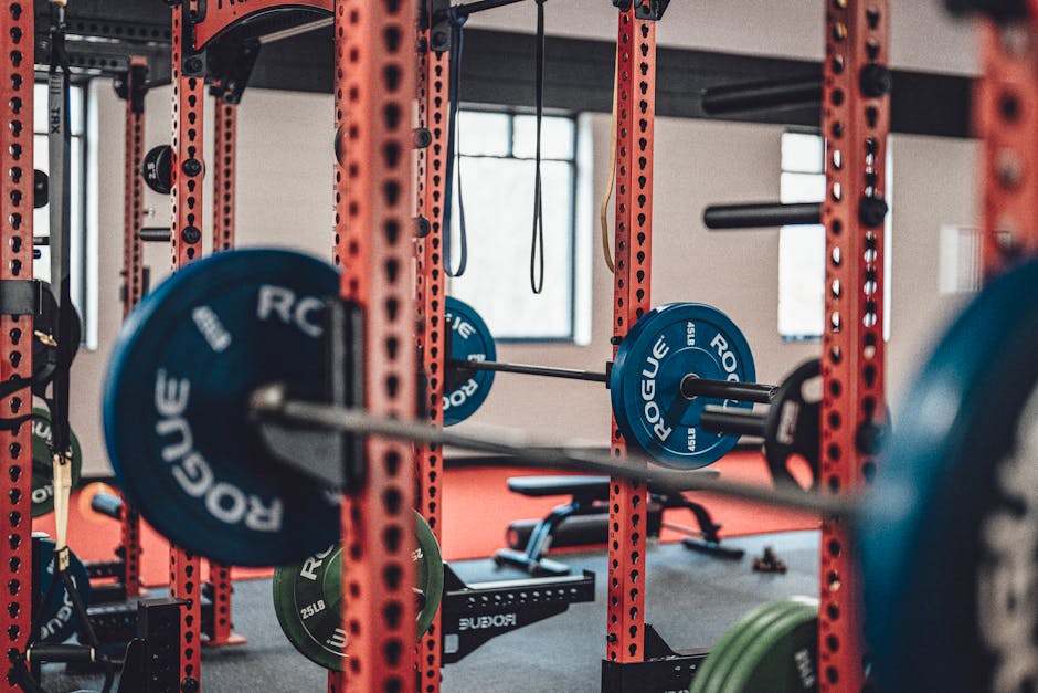 45 lb Weight Plates Buyer's Guide: Bore Size & Material