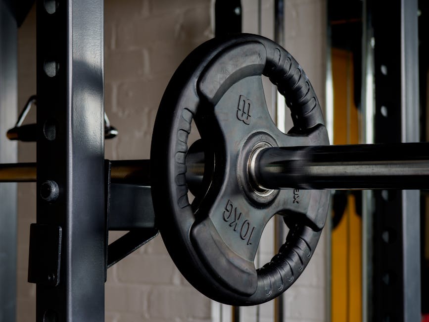 45 Pound Weight Plates Buyer's Guide: Types & Features